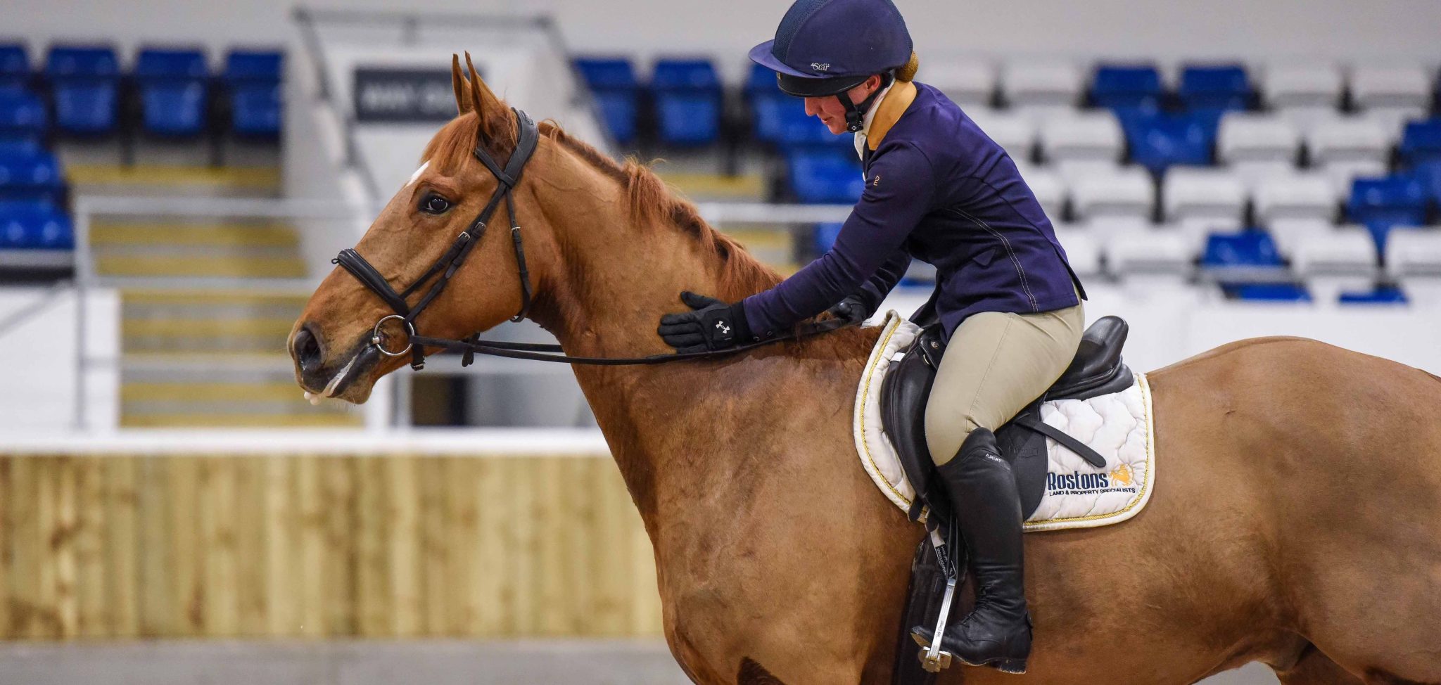 Unaffiliated Dressage Kelsall Hill